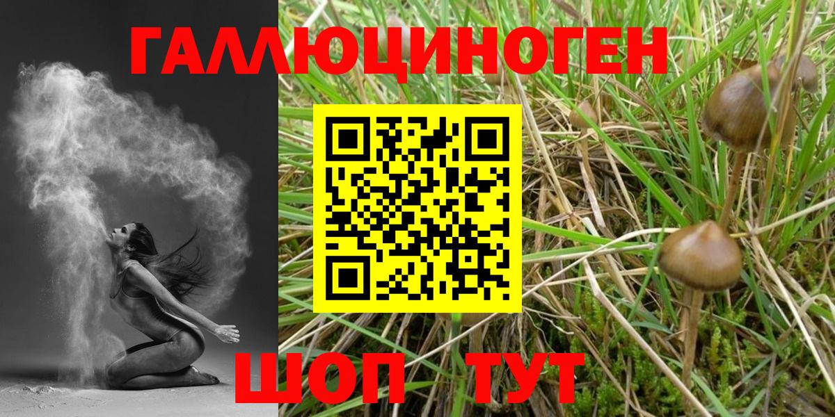 Псилоцибиновые грибы Magic Shrooms  Псилоцибиновые грибы прущие грибы  Евпатория  Вход с VPN 